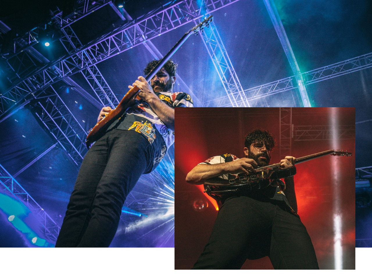 Foals